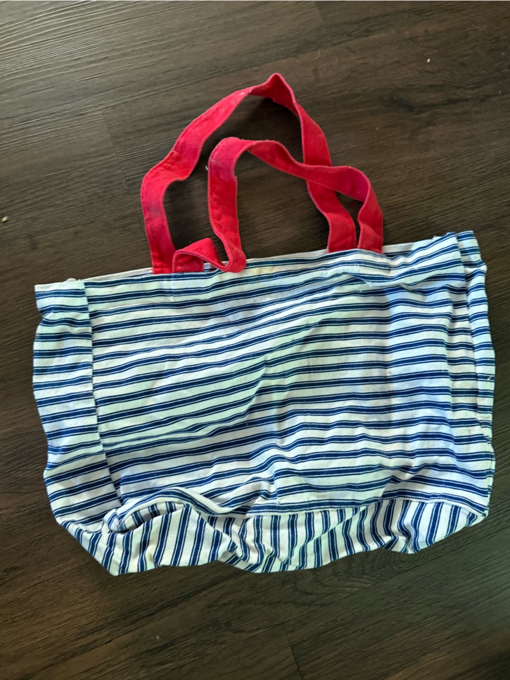 Striped Blue & White Tote with Red Velvet Straps